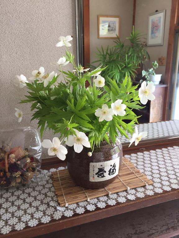 Momoya Lake Saiko Hotel Fudzsikavagucsiko Kültér fotó