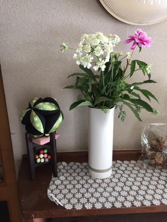 Momoya Lake Saiko Hotel Fudzsikavagucsiko Kültér fotó